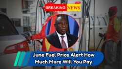 Fuel Price Shock: Is South Africa Ready for June 2025’s Petrol Surge?