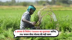 PM Fasal Bima Yojana में ₹50000 तक की Claim राशि 6 अगस्त से मिलनी शुरू